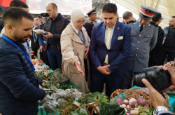الحسيمة.. افتتاح فعاليات الدورة الأولى "للمهرجان الوطني للݣرݣاع" ببني بونصار