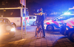 هولندا.. تصاعد العنف بين عصابات المخدرات المغربية في روزندال