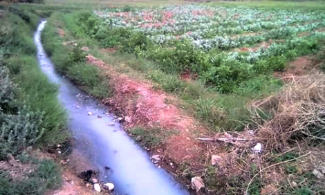 ابتدائية الحسيمة تدين فلاحا استعمل المياه العادمة لسقي ألمزروعات
