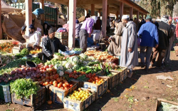 مرة اخرى ..الحسيمة تسجل أعلى نسبة ارتفاع اسعار المواد الغذائية