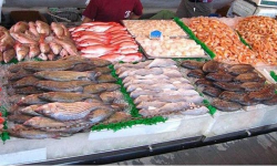 تجار "غشاشون" يبيعون أسماك غير طرية بميناء الحسيمة
