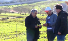 الحسيمة.. حقول تجريبية لإنتاج زراعات مقاومة للجفاف (فيديو)