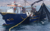 9 ملايير لمواجهة اضرار هجمات "النيكرو" على سفن الصيد بالمتوسط