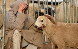 مهنة "الفلاح" تحرم العديد من الفقراء من التغطية الصحية والدعم الاجتماعي بإقليم الحسيمة
