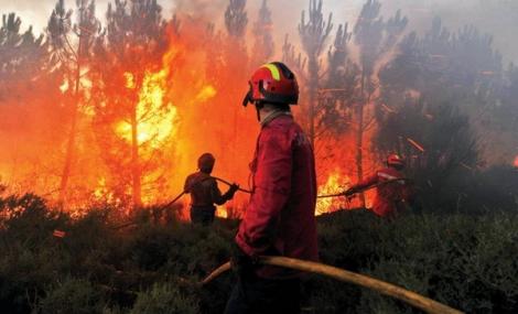 الناظور..السيطرة على حريق غابة غوروغو الذي أتى على 352 هكتار