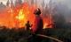 الناظور..السيطرة على حريق غابة غوروغو الذي أتى على 352 هكتار