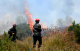 إخماد حريق غابة إكاون بإقليم الحسيمة