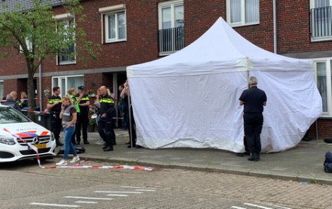 الصورة من الارشيف