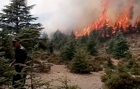 بالفيديو .. حريق مهول يندلع في غابة تيزي افري نواحي الحسيمة