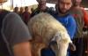 عيد الاضحى في اسبانيا