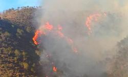 حريق ياتي على الهكتارات من الغطاء الغابوي بمنطقة الجبهة (فيديو)