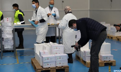 المغرب : بدء توزيع اللقاح ضد كوفيد-19 على الجهات