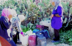 رأي : الماء بالريف واشكالية التنمية