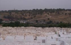 مغاربة إسبانيا يطالبون بمقابر إسلامية لدفن موتاهم بدل ترحيل جثتهم