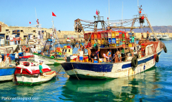 تدابير احترازية بقطاع الصيد البحري بالحسيمة لحماية البحارة من كورونا