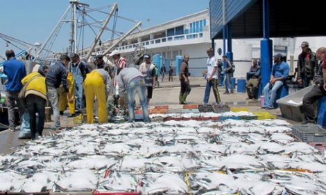 مع حلول شهر رمضان.. أسعار الأسماك تقفز بشكل صاروخي بإقليم الحسيمة