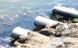 رأي : تساؤلات حول جودة مياه شواطئ الحسيمة ومعالجة مياه الصرف الصحي