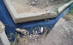 مياه الصرف الصحي تهدد حياة سكان تماسينت وتفسد مزروعاتهم
