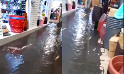 مياه الصرف الصحي تستقبل التجار بسوق الثلاثاء اليومي بالحسيمة (فيديو)