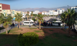 الصورة من الارشيف