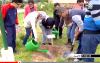 مبادرة غرس 2400 شجرة بمدارس الحسيمة