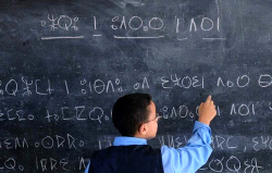 إقصاء اللغة الأمازيغية من مشروع "مدارس الريادة"