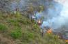 المندوبية : تقلص المساحات الغابوية التي أتت عليها الحرائق بالريف