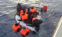 مصرع 4 مهاجرين غرقا حاولوا الوصول سباحة إلى سبتة