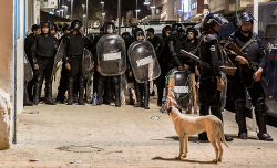 هيئة الدفاع عن معتقلي "حراك الريف" : الحل سياسي