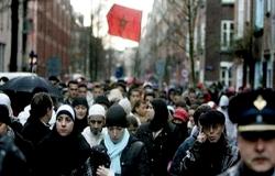 هولندا تطبق قانونا يخفض التعويض بالنسبة للمغاربة