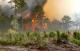 إخماد حريق بمنطقة أمطيل ضواحي تطوان أتى على نحو 50 هكتارا من المساحات الغابوية