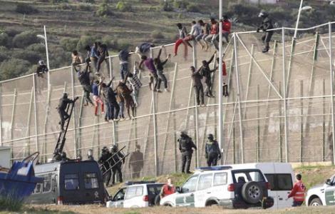 ازيد من 230 مهاجرا ينجحون في دخول مليلية المحتلة عبر السياج