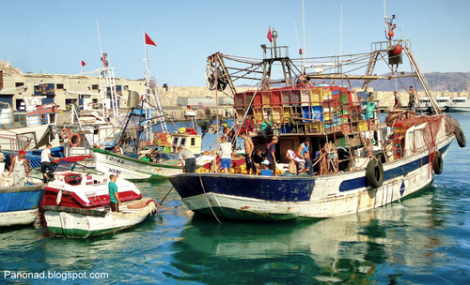 تراجع مداخيل ميناء الصيد البحري بالحسيمة