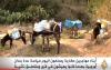 نجاة بلقاسم من رعي الغنم بالريف الى وزيرة للتعليم بفرنسا