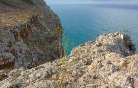 توقيف العشرات من المرشحين للهجرة السرية بشاطئ صخري بالحسيمة